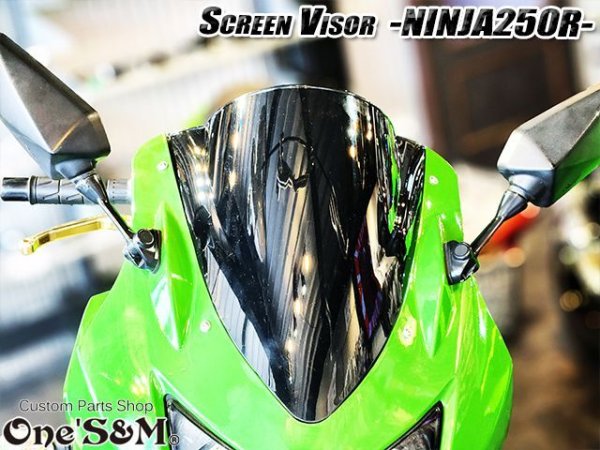 画像11: スクリーンバイザー フロントスクリーン  NINJA250R JBK-EX250K (11)