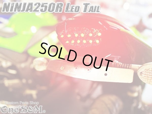 画像12: スモークレンズ スモークテール LEDテール ランプ ウインカー付き テール一式 ニンジャ250R NINJA250R JBK-EX250K 専用 (12)