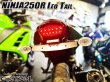 画像9: スモークレンズ スモークテール LEDテール ランプ ウインカー付き テール一式 ニンジャ250R NINJA250R JBK-EX250K 専用 (9)