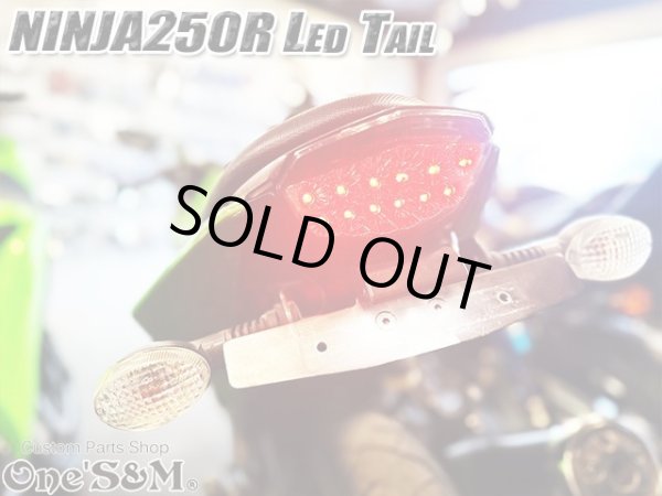 画像10: スモークレンズ スモークテール LEDテール ランプ ウインカー付き テール一式 ニンジャ250R NINJA250R JBK-EX250K 専用 (10)