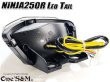 画像6: スモークレンズ スモークテール LEDテール ランプ ウインカー付き テール一式 ニンジャ250R NINJA250R JBK-EX250K 専用 (6)