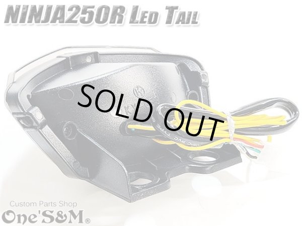 画像6: スモークレンズ スモークテール LEDテール ランプ ウインカー付き テール一式 ニンジャ250R NINJA250R JBK-EX250K 専用 (6)