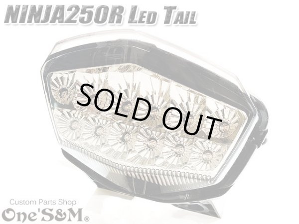 画像1: スモークレンズ スモークテール LEDテール ランプ ウインカー付き テール一式 ニンジャ250R NINJA250R JBK-EX250K 専用 (1)