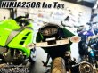 画像14: スモークレンズ スモークテール LEDテール ランプ ウインカー付き テール一式 ニンジャ250R NINJA250R JBK-EX250K 専用 (14)