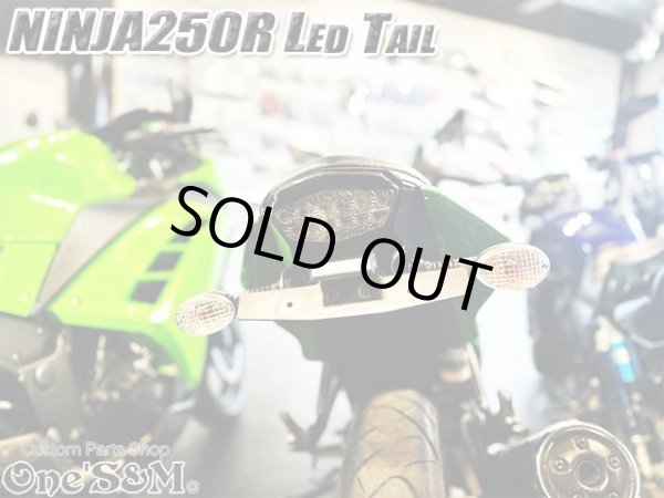 画像14: スモークレンズ スモークテール LEDテール ランプ ウインカー付き テール一式 ニンジャ250R NINJA250R JBK-EX250K 専用 (14)