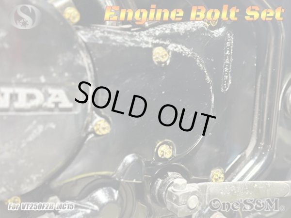 画像6: G-moto製 VT250F2H MC15E 専用 ステンレス製 ゴールドボルト 22本Set エンジンボルト ジェネレーターカバーフランジボルト (6)