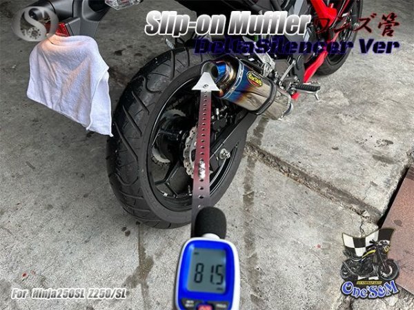 画像12: ☆★Ninja250SL Z250SL ニンジャ250SL 専用 スリップオンマフラー 選べるサイレンサー (12)