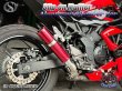 画像29: Ninja250SL Z250SL Z250 ニンジャ250SL 専用 スリップオンマフラー 選べるサイレンサー (29)