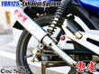 画像4: YBR125 専用  フルエキゾーストマフラー キャブ車 FI車兼用 選べるサイレンサー (4)