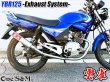 画像6: YBR125 専用  フルエキゾーストマフラー キャブ車 FI車兼用 選べるサイレンサー (6)