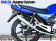 画像18: YBR125 専用  フルエキゾーストマフラー キャブ車 FI車兼用 選べるサイレンサー (18)