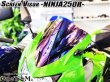 画像7: スクリーンバイザー フロントスクリーン  NINJA250R JBK-EX250K (7)