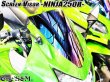 画像6: スクリーンバイザー フロントスクリーン  NINJA250R JBK-EX250K (6)