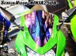 画像5: スクリーンバイザー フロントスクリーン  NINJA250R JBK-EX250K (5)