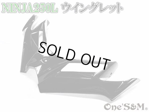 画像2: ニンジャ250 ディフューザー ウイングレット フロント カナード Ninja250L EX250L (2)