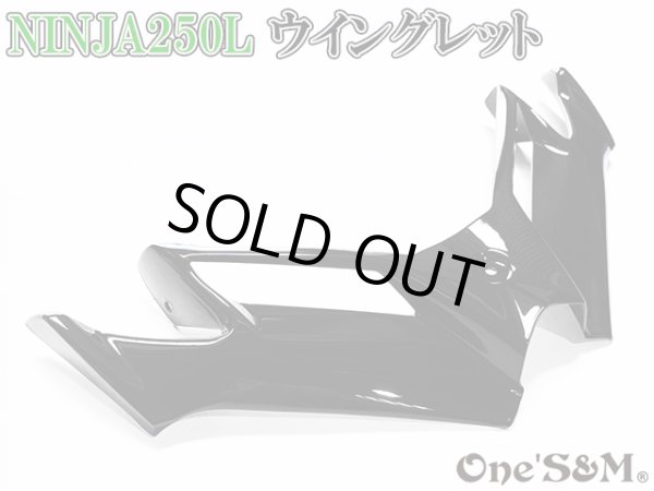 画像3: ニンジャ250 ディフューザー ウイングレット フロント カナード Ninja250L EX250L (3)