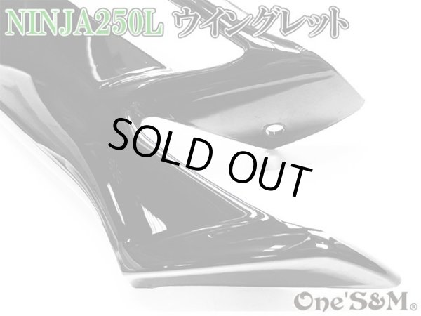 画像5: ニンジャ250 ディフューザー ウイングレット フロント カナード Ninja250L EX250L (5)
