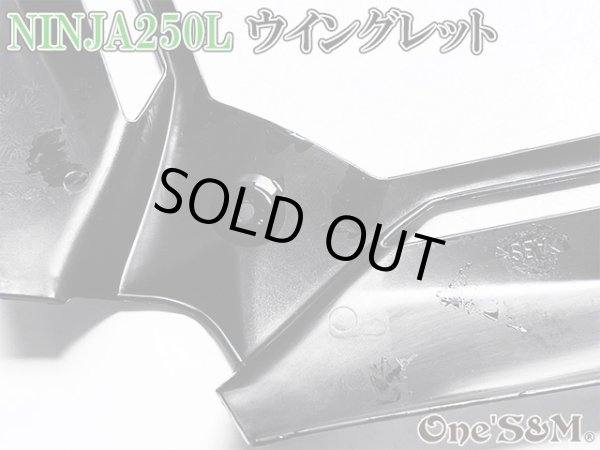 画像4: ニンジャ250 ディフューザー ウイングレット フロント カナード Ninja250L EX250L (4)