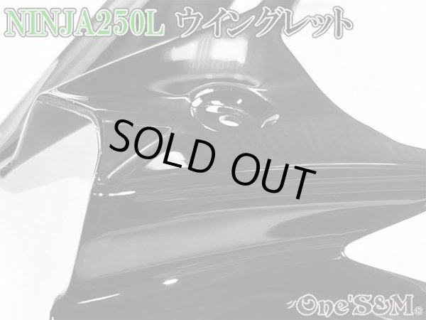 画像6: ニンジャ250 ディフューザー ウイングレット フロント カナード Ninja250L EX250L (6)