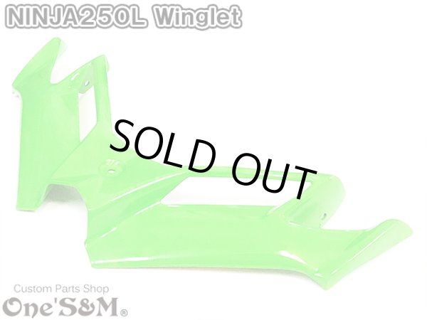 画像9: ニンジャ250 ディフューザー ウイングレット フロント カナード Ninja250L EX250L (9)