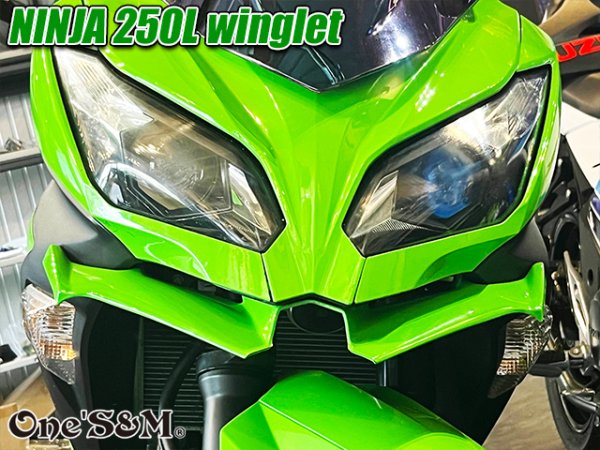 画像15: ニンジャ250 ディフューザー ウイングレット フロント カナード Ninja250L EX250L (15)