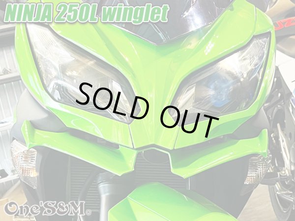 画像15: ニンジャ250 ディフューザー ウイングレット フロント カナード Ninja250L EX250L (15)