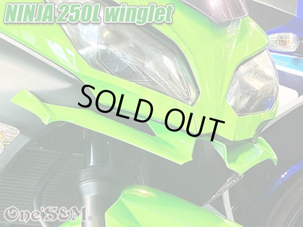 画像16: ニンジャ250 ディフューザー ウイングレット フロント カナード Ninja250L EX250L (16)