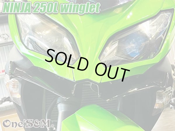 画像12: ニンジャ250 ディフューザー ウイングレット フロント カナード Ninja250L EX250L (12)