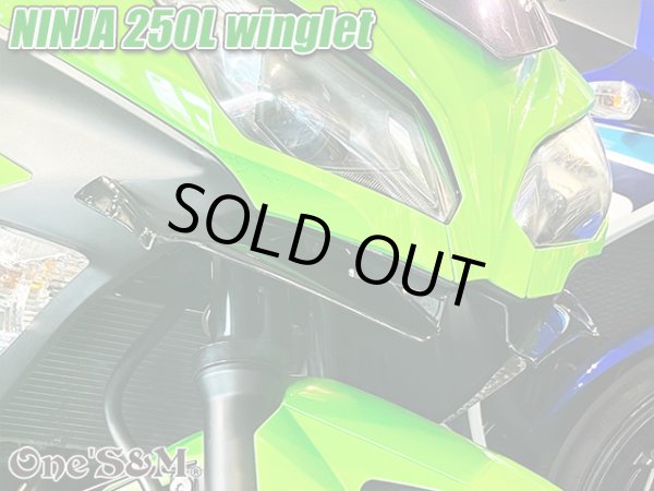 画像13: ニンジャ250 ディフューザー ウイングレット フロント カナード Ninja250L EX250L (13)