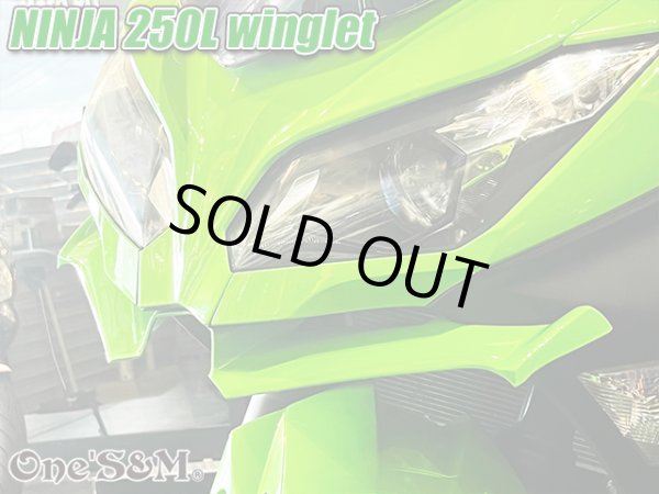 画像14: ニンジャ250 ディフューザー ウイングレット フロント カナード Ninja250L EX250L (14)