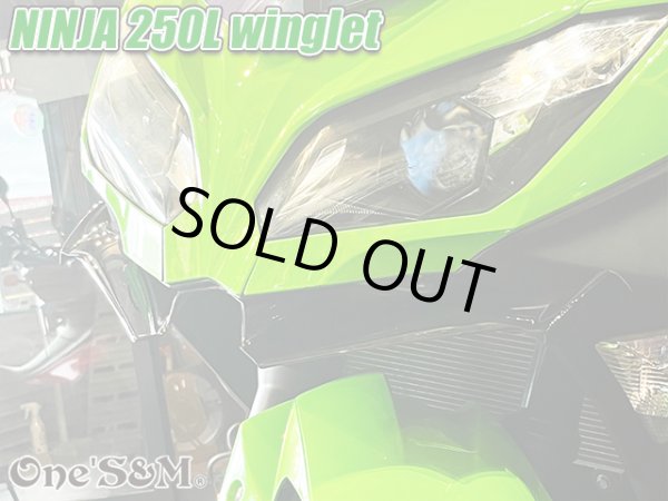 画像11: ニンジャ250 ディフューザー ウイングレット フロント カナード Ninja250L EX250L (11)