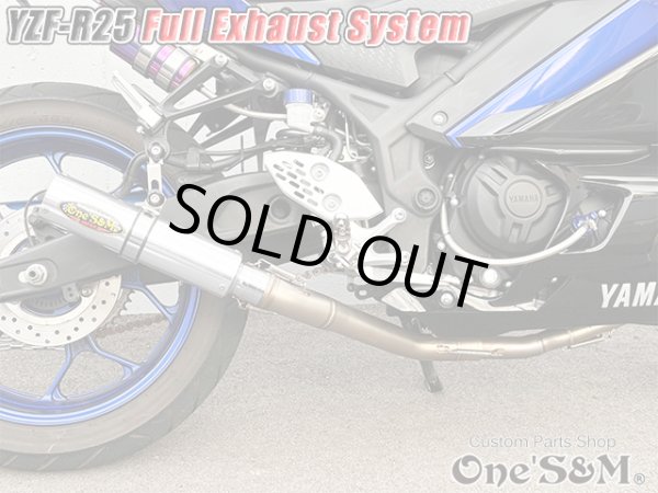画像10: YZF-R25 RG43J 専用 フルエキゾーストマフラー ワンズ管 (10)