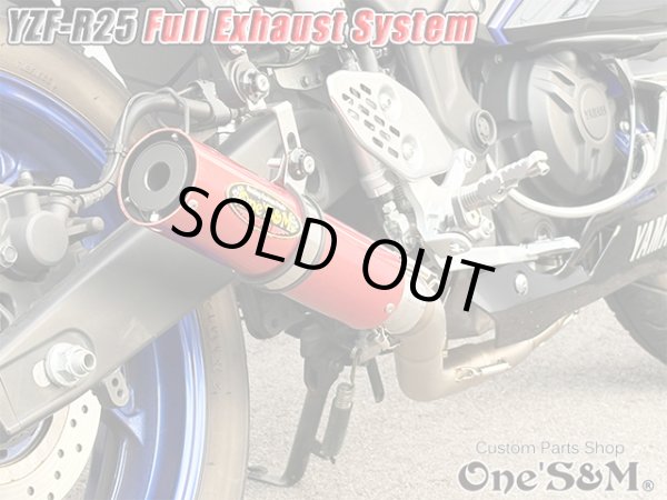 画像14: YZF-R25 RG43J 専用 フルエキゾーストマフラー ワンズ管 (14)