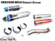 画像1: NEW CBR250R MC41用 スリップオン マフラーセット サイレンサー (1)
