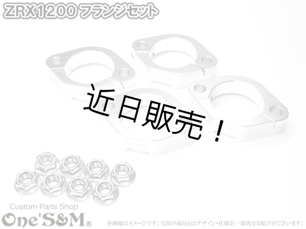 画像1: ZRX1200S ZRX1200R ZRX1200DAEG用 フランジセット (分割フランジ フランジナット) (1)