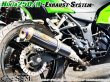 画像4: Ninja250 Ninja250R JBK-EX250L EX250K 前期 中期 ニンジャ250 Z250 純正エキパイ用 ロングカーボン スリップオンマフラー (4)