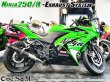 画像2: Ninja250 Ninja250R JBK-EX250L EX250K 前期 中期 ニンジャ250 Z250 純正エキパイ用 ロングカーボン スリップオンマフラー (2)