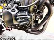 画像3: G-moto®︎ DOHC パルサーカバー エンジンカバー Z900RS 2BL 8BL (3)