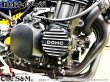 画像2: G-moto®︎ DOHC パルサーカバー エンジンカバー Z900RS 2BL 8BL (2)