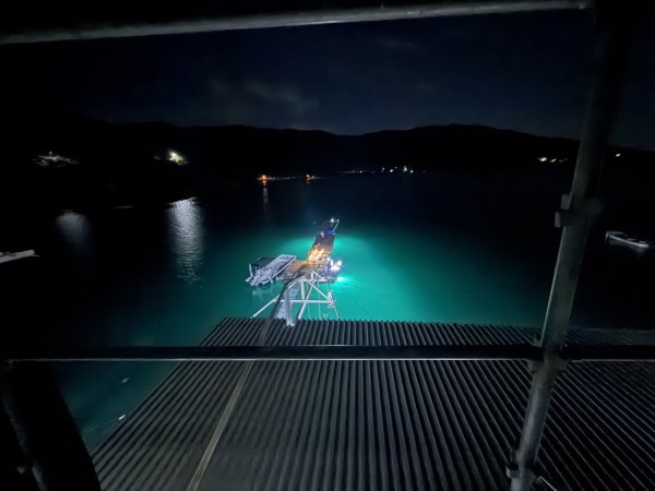 画像9: 集魚灯８W USB給電式 緑 水中 LED 防波堤 いかだ 船 イカ 青物 釣り 爆釣シリーズ (9)