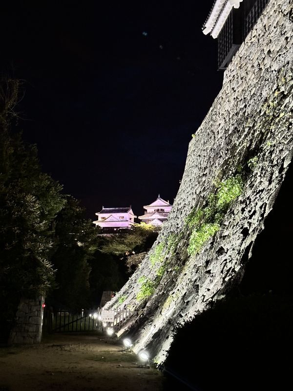 明日より通常通り営業となります