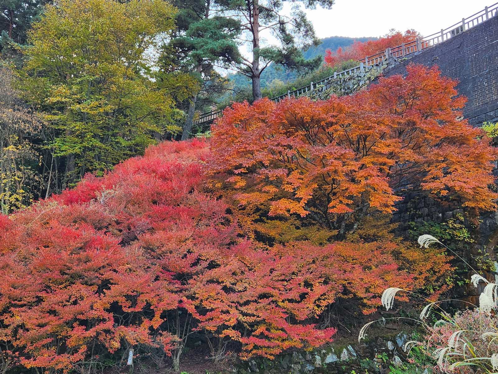 初めてのプライベート新居浜！
