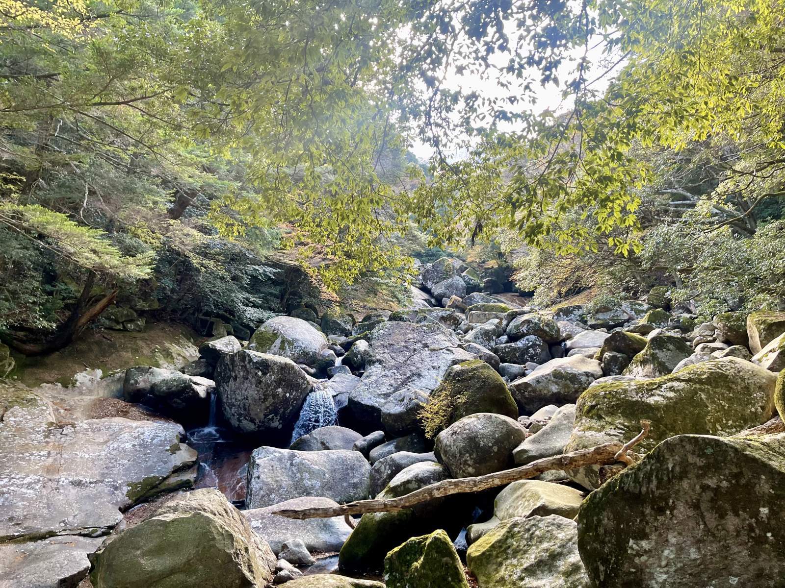 紅葉狩りin滑床渓谷