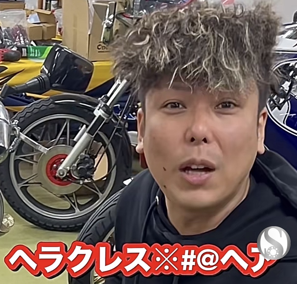 ヘラクレスオオカブト