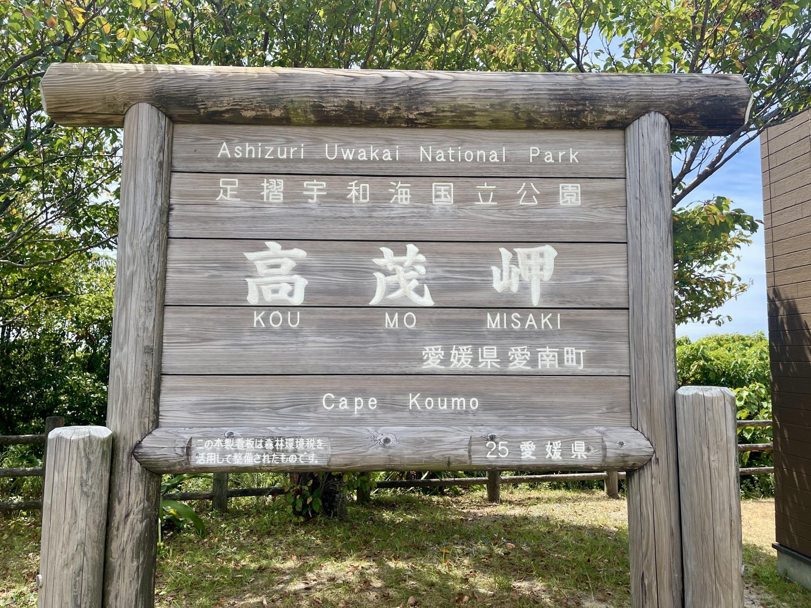やっぱり海はきれいだ！